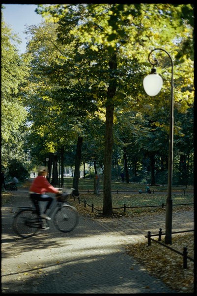 CONVERTED WITH PHOEBUS BY POST-FX