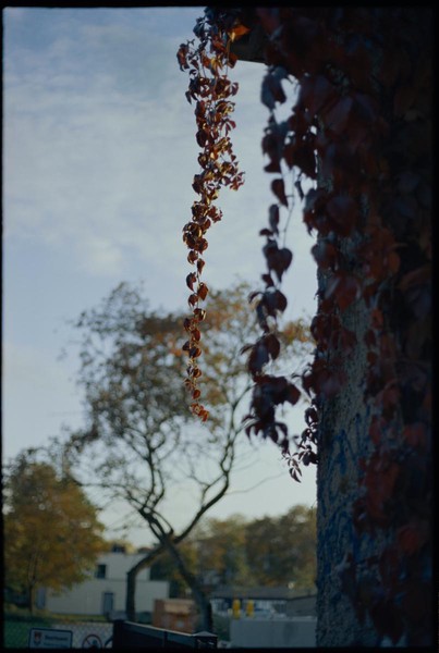 CONVERTED WITH PHOEBUS BY POST-FX