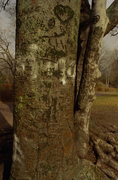 CONVERTED WITH PHOEBUS BY POST-FX