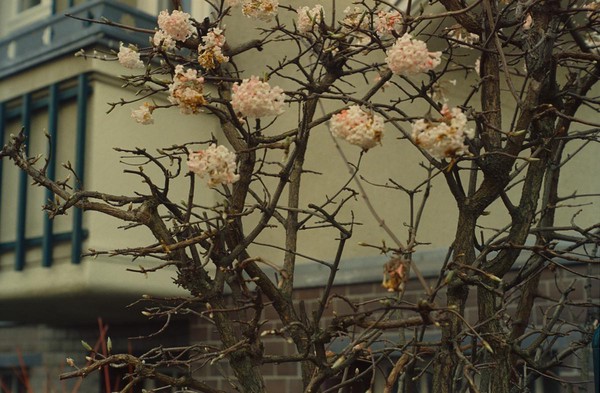 CONVERTED WITH PHOEBUS BY POST-FX