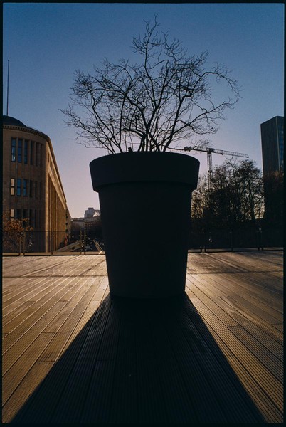 CONVERTED WITH PHOEBUS BY POST-FX