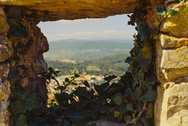 CONVERTED WITH PHOEBUS BY POST-FX