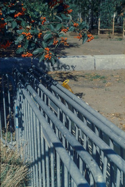 CONVERTED WITH PHOEBUS BY POST-FX