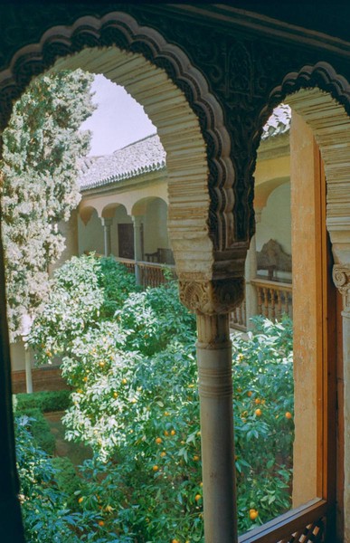 CONVERTED WITH PHOEBUS BY POST-FX