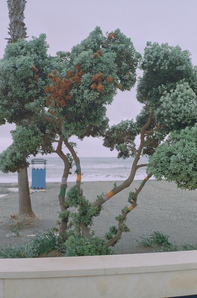 CONVERTED WITH PHOEBUS BY POST-FX