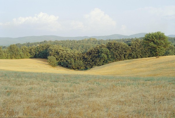 CONVERTED WITH PHOEBUS BY POST-FX