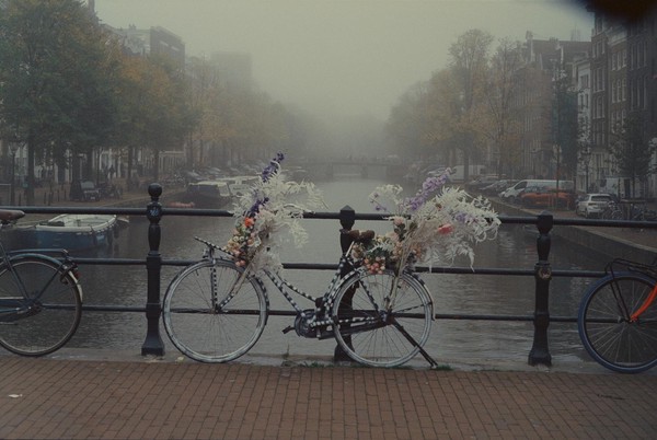 CONVERTED WITH PHOEBUS BY POST-FX