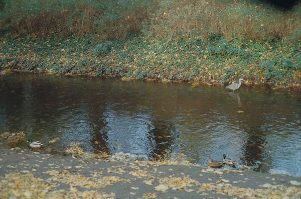 CONVERTED WITH PHOEBUS BY POST-FX