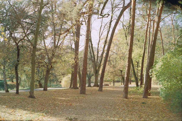 CONVERTED WITH PHOEBUS BY POST-FX