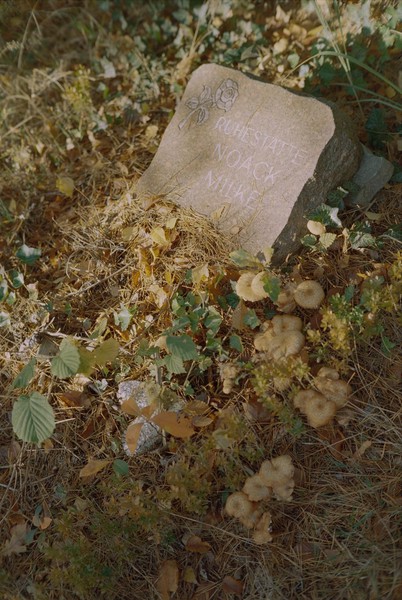 CONVERTED WITH PHOEBUS BY POST-FX