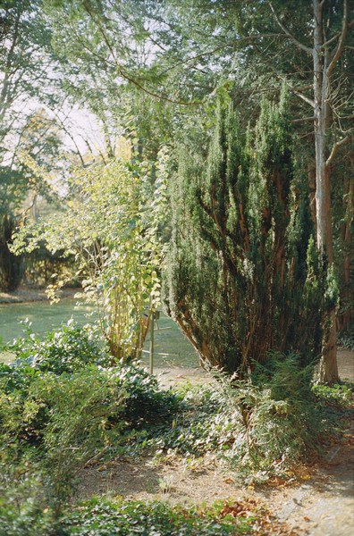 CONVERTED WITH PHOEBUS BY POST-FX