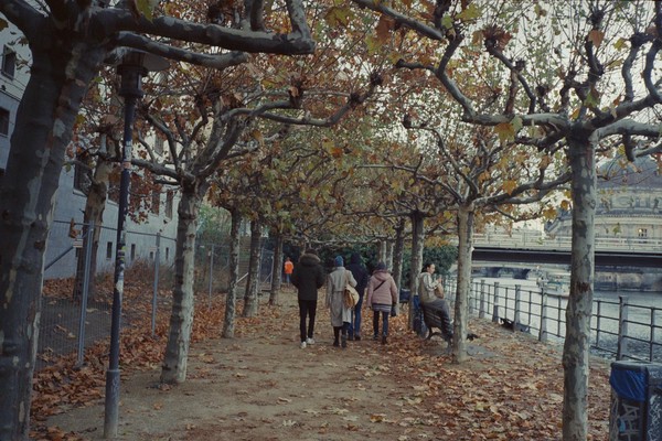 CONVERTED WITH PHOEBUS BY POST-FX