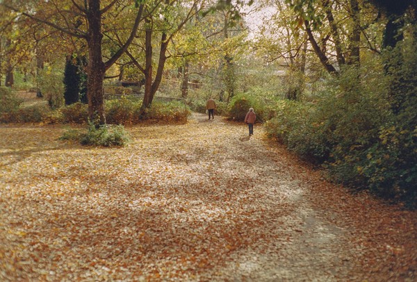 CONVERTED WITH PHOEBUS BY POST-FX