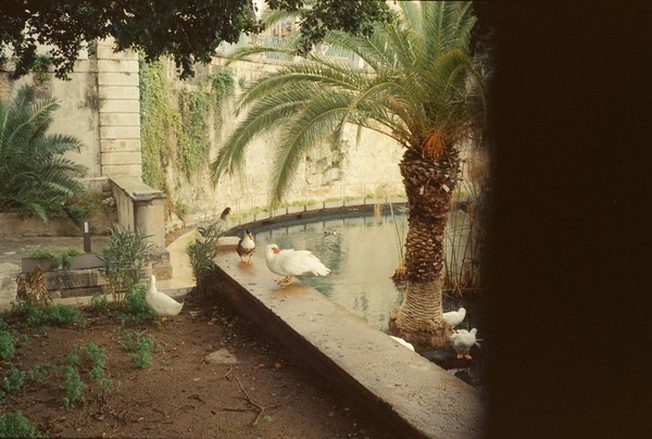 CONVERTED WITH PHOEBUS BY POST-FX