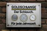 Goldschlange, Dezember 2006