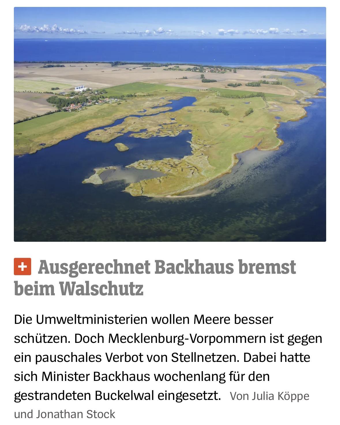 Screenshot Spiegel mit Bild eines Ostsee-Küstengebiets: 
Ausgerechnet Backhaus bremst beim Walschutz
Die Umweltministerien wollen Meere besser schützen. Doch Mecklenburg-Vorpommern ist gegen ein pauschales Verbot von Stellnetzen. Dabei hatte sich Minister Backhaus wochenlang für den gestrandeten Buckelwal eingesetzt. Von Julia Köppe und Jonathan Stock