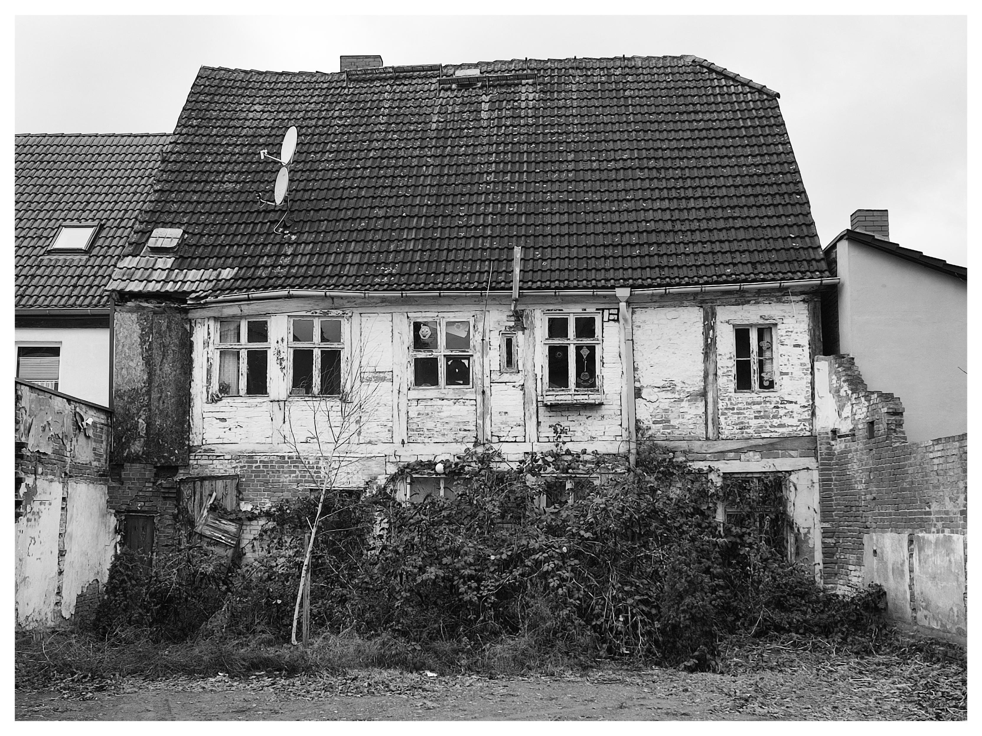 Schwarz-Weiß-Foto im Querformat mit weißem Rand. Zu sehen ist ein altes, mit Pflanzen teilweise überwuchertes Fachwerkhaus zwischen neueren Häusern.