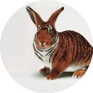 Mortal „Wendol“ Wombat