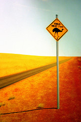 IMG_7469 IMG_7469