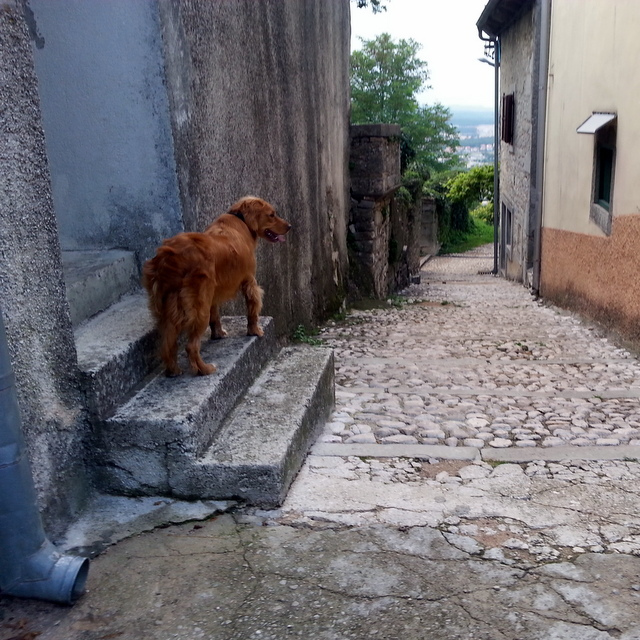 kroatienlogs #3: labin