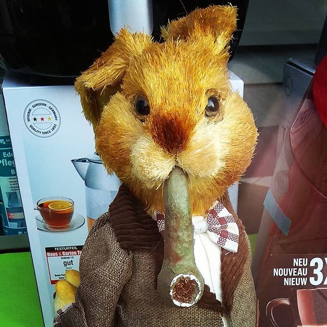 bunny is gonna have a good time tonight