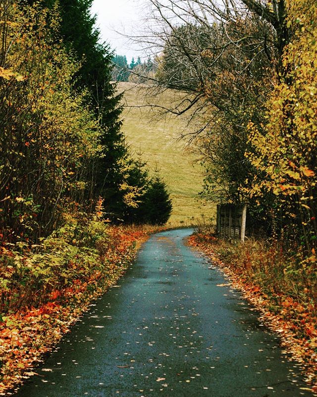 Herbst in Polen