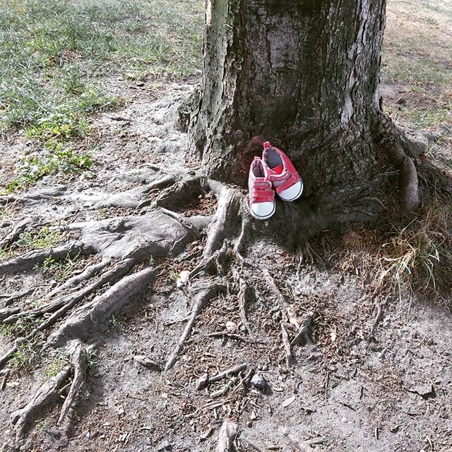 just take off my red shoes