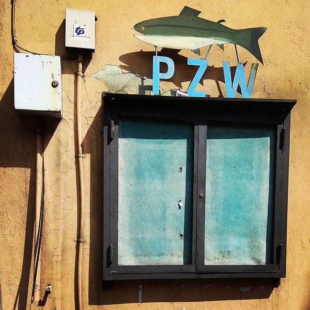 PZW
