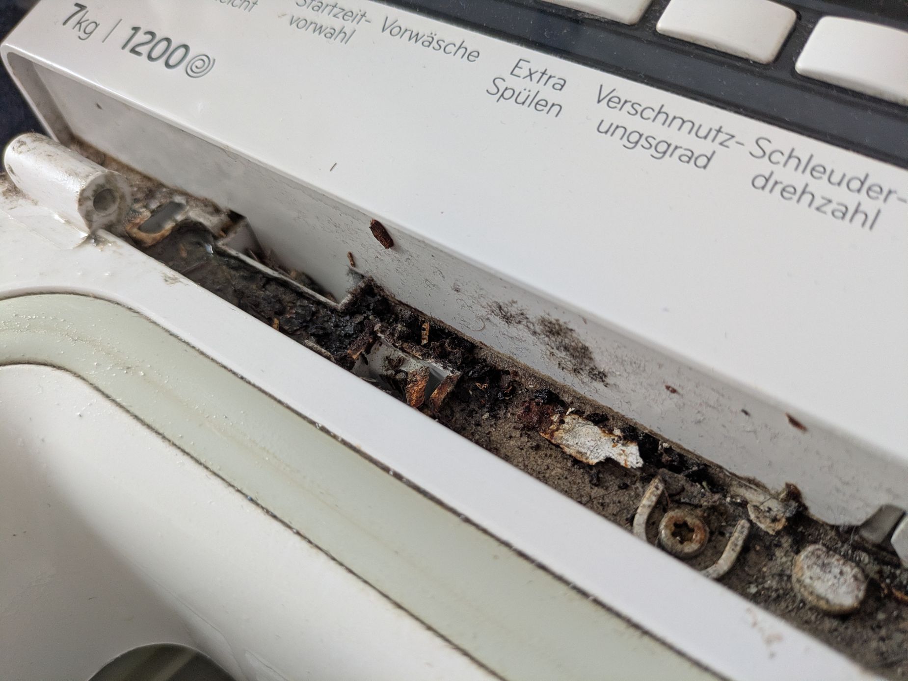 Detailaufnahme Schmodder