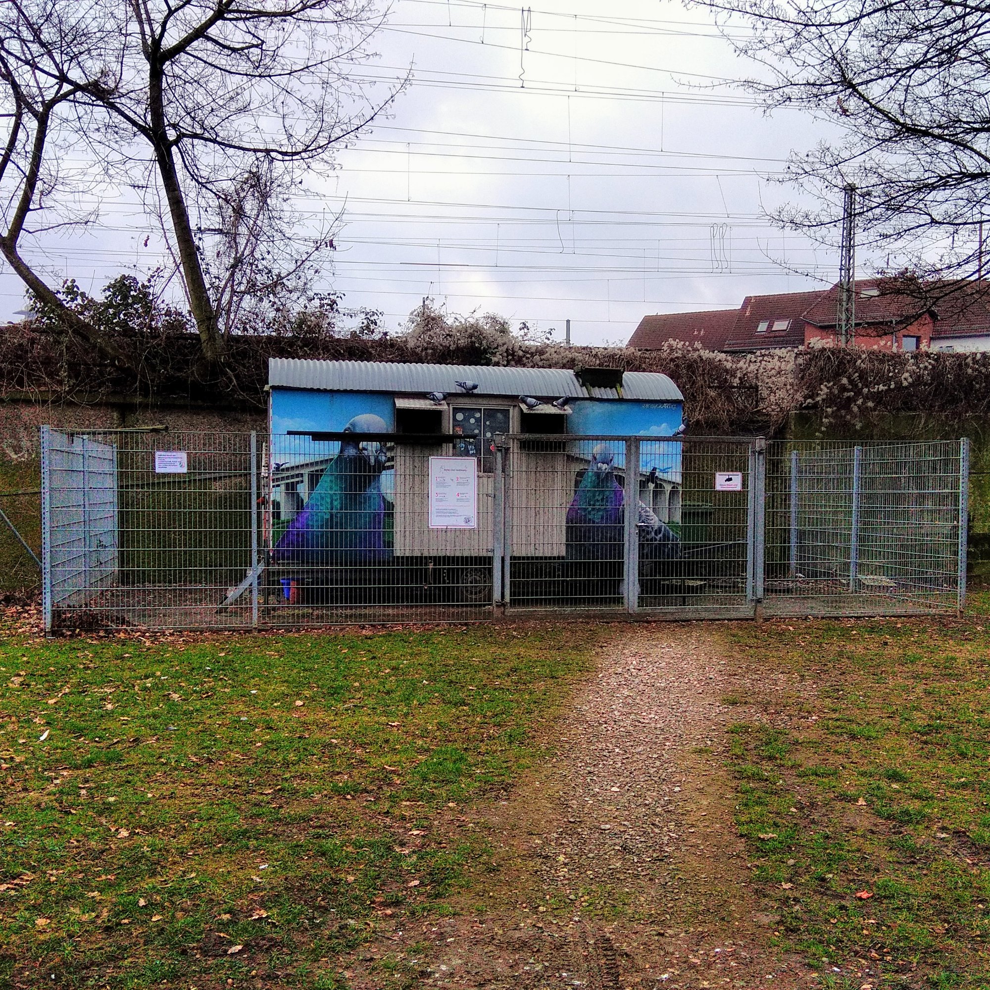 Taubenwagen in Bielefeld, Februar 2019