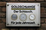 Goldschlange, Dezember 2006